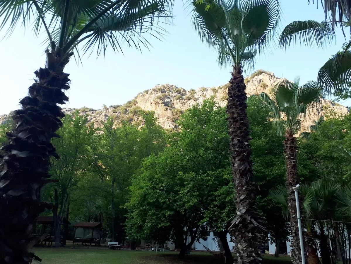 Cirali Camping contacts